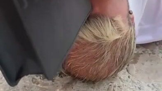 Непостановочное смотреть секс видео онлайн